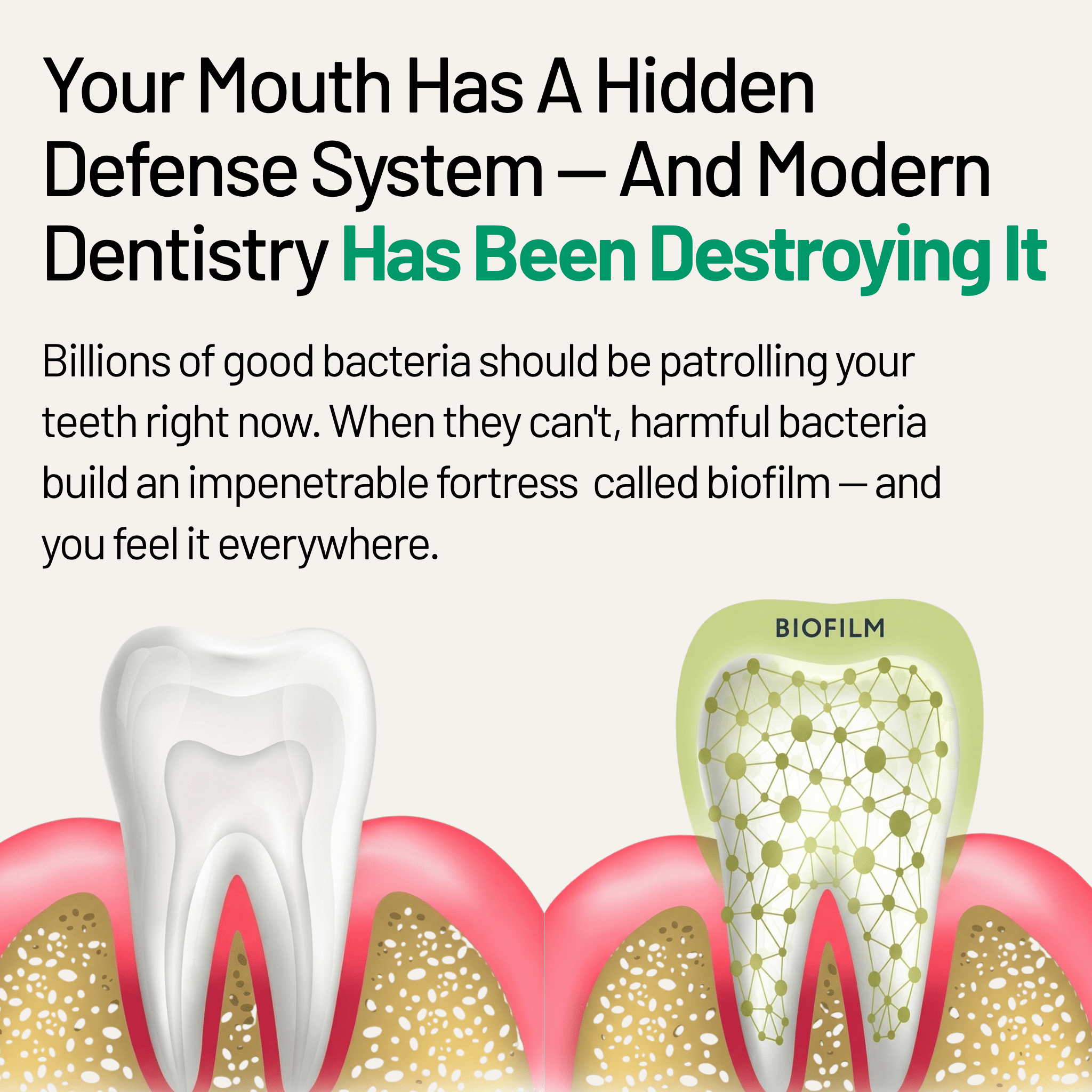 ClearGuard Pro™: Two-Step Oral Restoration Chews